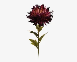 Krysantemum stilk ass 18x18x62 cm