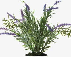Lavendel Potte Plastik H.30 cm