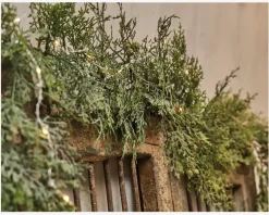 Lyskæde m/perler 15 LED 1,7 meter