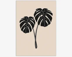 Plakat Monstera Deliciosa