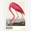 Plakat Pink Flamingo
