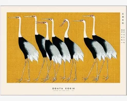 Plakat Red Crown Crane