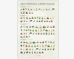 Plakat Årstidernes Grøntsager 50x70 cm