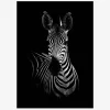 Plakat The Zebra