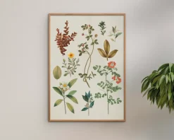 Plakat Victorian Garden III A5