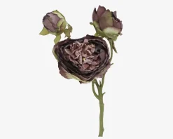 Stilk Pæon M.3 Knopper Lilla H.65cm