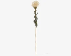 Stilk Protea hvid H.73 cm