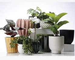 Urtepotteskjuler Ananas hvid H.16xØ.22 cm