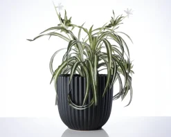 Urtepotteskjuler Nobel mat sort 17x18 cm