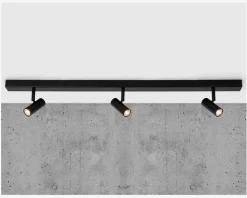Væg-/loftlampe Omari 3 Sort