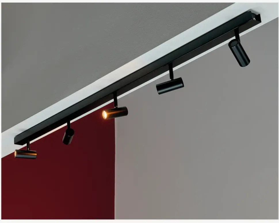 Væg-/loftlampe Omari 5 Sort